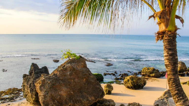 Playa con rocas y palmeras en Bali